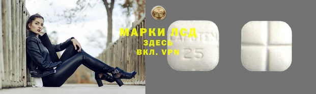 apvp Арсеньев