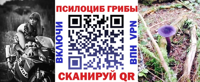ссылка на мегу tor  Ростов  Псилоцибиновые грибы мицелий 